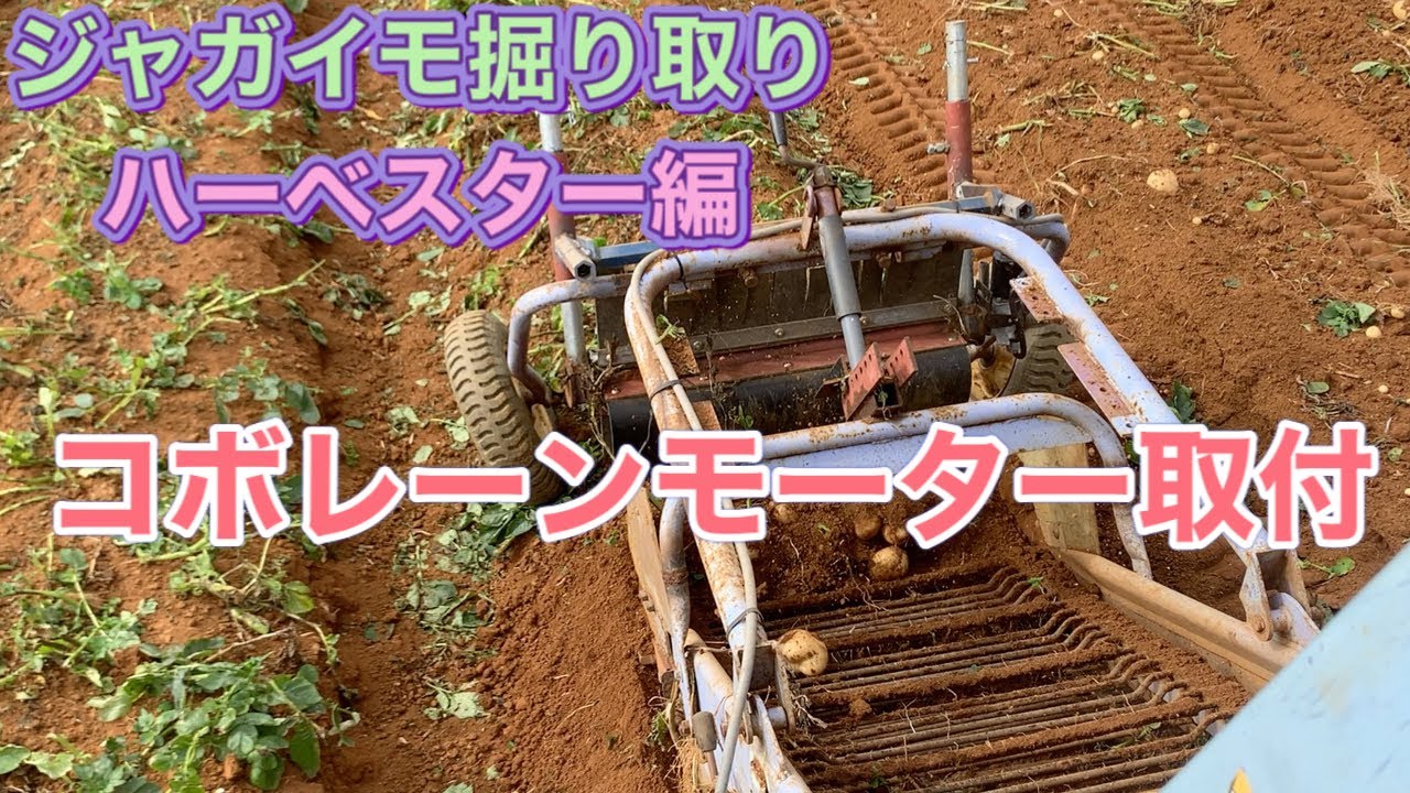 ジャガイモ掘りスタート ハーベスター編 - YouTube