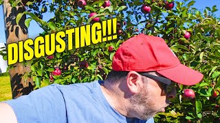 Experience The Best Of Fall (1 Hour From WISCONSIN DELLS) 🍎