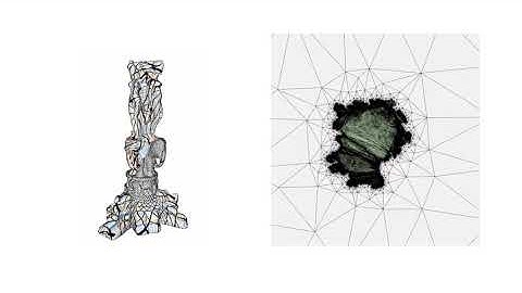 Fast Forward: Simplicial Complex Augmentation Framework for Bijective Maps
