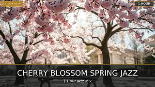 Cherry Blossom Spring Jazz | 🍃 Harmonious Blooms: A Soothing Jazz Journey | 1 Hour screenshot 4