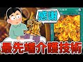 ラーの翼神竜さん、ついに最高神としての風格を身に付けてしまう『真なる太陽神』【遊戯王】【ゆっくり解説】
