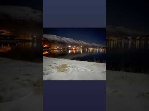 قومي لندبك ولدة موسيقى رائعة لمحبين الشعبي حيدر زعيتر حالات واتساب اغاني