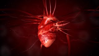 Como o coração funciona? | National Geographic by National Geographic Brasil 39,750 views 1 year ago 2 minutes, 35 seconds