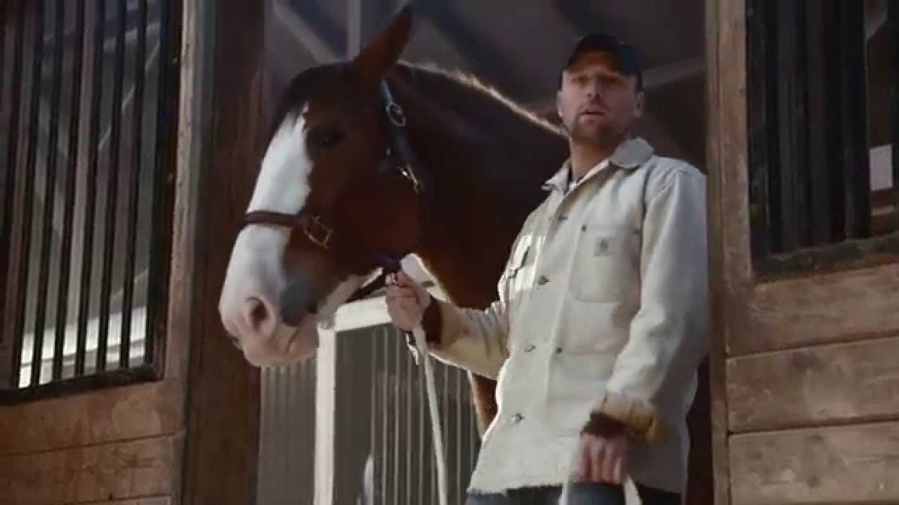 Lost Dog   Budweiser Super Bowl Commercial 2015