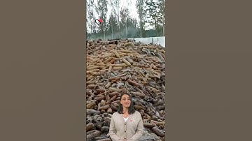 Optimizing Grain Drying with Temperature and Humidity Control. #fcnfm