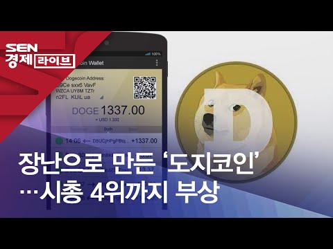 장난으로 만든 도지코인 시총 4위까지 부상 