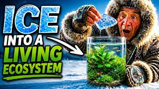 I Turned ICE Into a Living Ecosystem