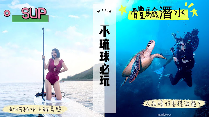 小琉球必玩🐢超好拍透明SUP🛶體驗潛水遇超大隻海龜 - 天天要聞