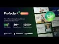 Step By Step Guide to Install Profecient - Multipurpose Elementor Business &amp; WooCommerce WPTheme