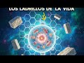 La célula, los ladrillos de la vida