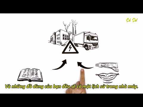 Video: Theo bạn, dấu chân carbon có nghĩa là gì?