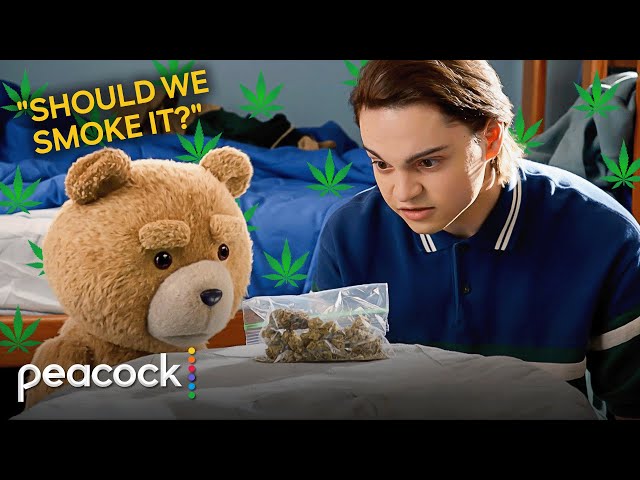 ted | Ted Needs to Buy Weed to Get Expelled class=