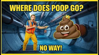 How Does the Sewer System Really Work 😂 The Hilarious Journey of Your Flush!”