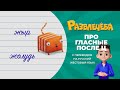 Развлечёба. Про гласные после шипящих и ц. С переводом на русский жестовый язык.
