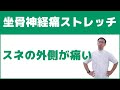 坐骨神経痛でスネの外側が痛む時の原因とストレッチ方法