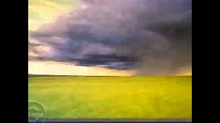 Susan Jacks - Evergreen