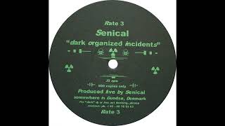 Senical - Untitled B2 (Hardcore 1998)