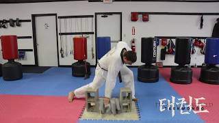How to Break Bricks Step-By-Step Brick Breaking with your Hand in TaeKwonDo
