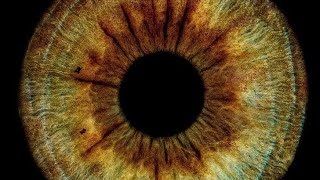 Become Irresistible ♡ Hazel Eyes Subliminal (Soft + Magnetic Gaze) screenshot 3
