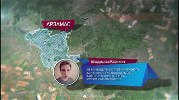 Вопрос недели: каррагинан и камедь - зачем их добавляют в мороженое?