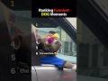 Funniest Dog Moments Ranked! 🐶 #funny #dog