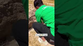 لكينة تمساح بحدود ايران 🇮🇷🔥