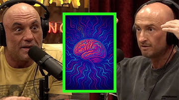 What Happens to the Brain During DMT Trip? Author Andrew Gallimore Tried to Find Out