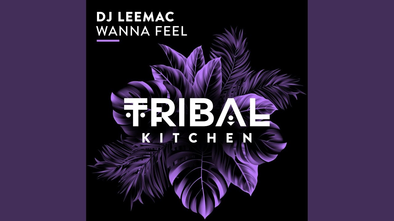 Wanna Feel (Extended Mix)