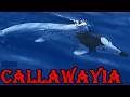 Callawayia