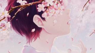 Sakura - Song: Fujita Maiko