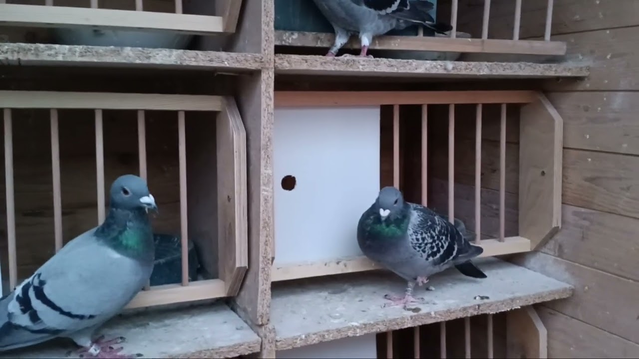 Po pierwszym sezonie lotowym 