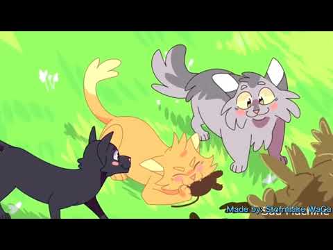 Ravenpaw, Graypaw and Firepaw Best friends mixed Map- Warrior cats