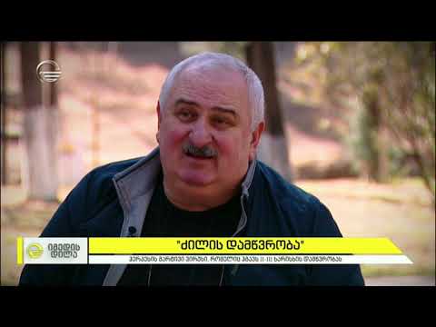 „ძილის დამწვრობა“ -  ჰერპესის ვირუსი, რომელიც ჰგავს დამწვრობას