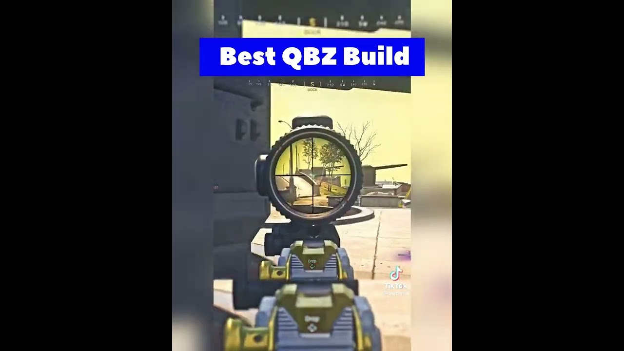 QBZ insane Build Warzone gameplay