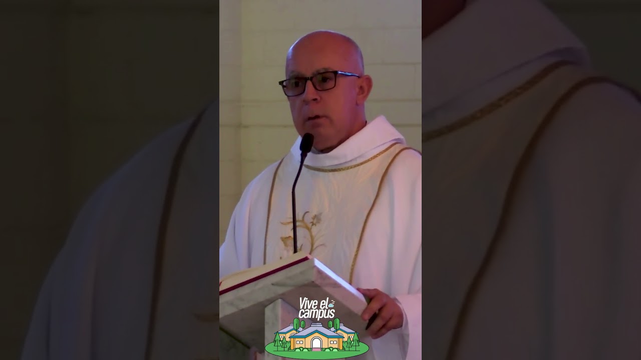 Mensaje del día. Del Santo evangelio Según San Juan. Pbro. Alfonso Urrego Monsalve