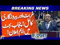Solution to poverty and unemployment! Important announcement in Punjab budget | Geo News