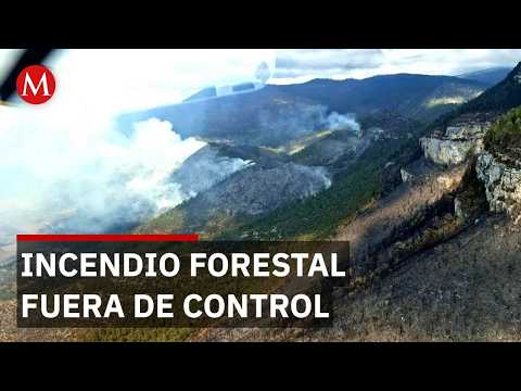 Activan Plan Tamaulipas ante avance de incendio en la sierra