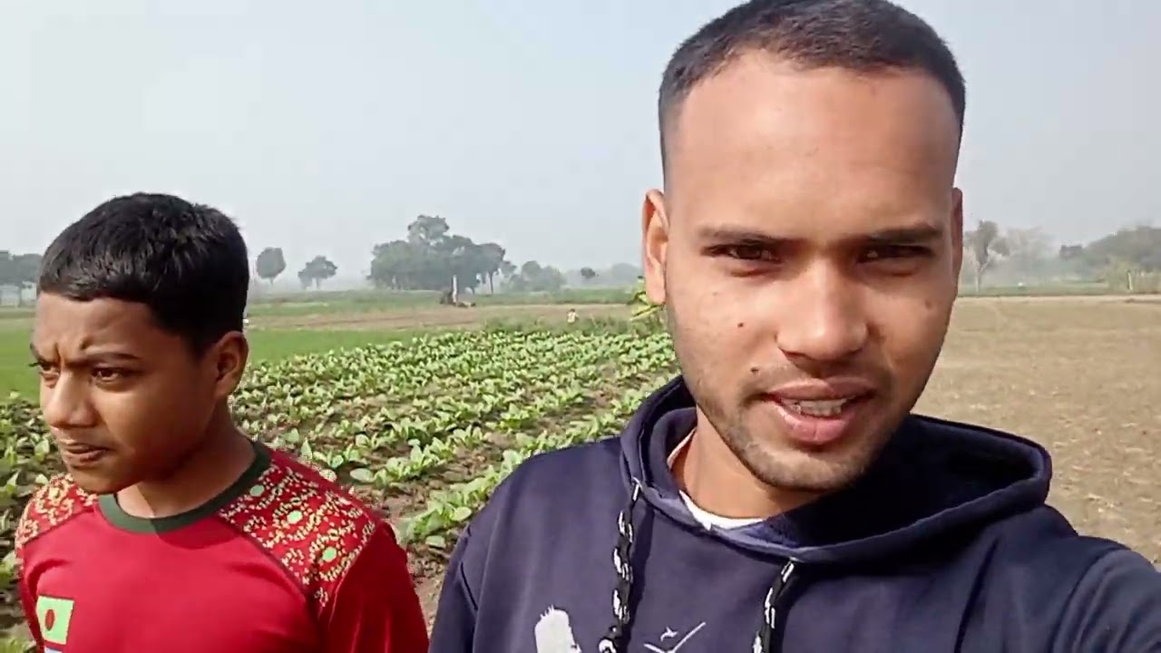 কৃষকের দৈনন্দিন কাজ 