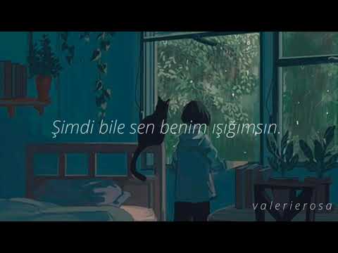 Lemon - Kenshi Yonezu / Türkçe Çeviri (cover by あさぎーにょ）