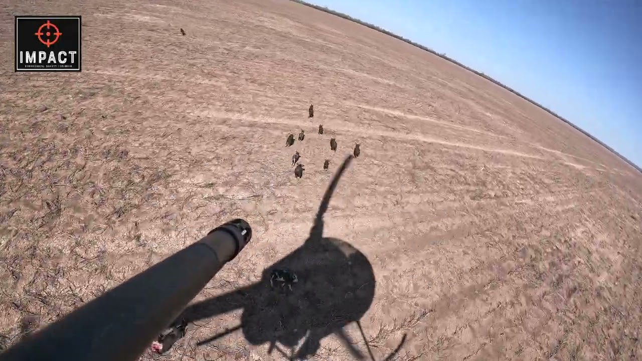Supercut of Aerial Helicopter Pig Shooting in Australia