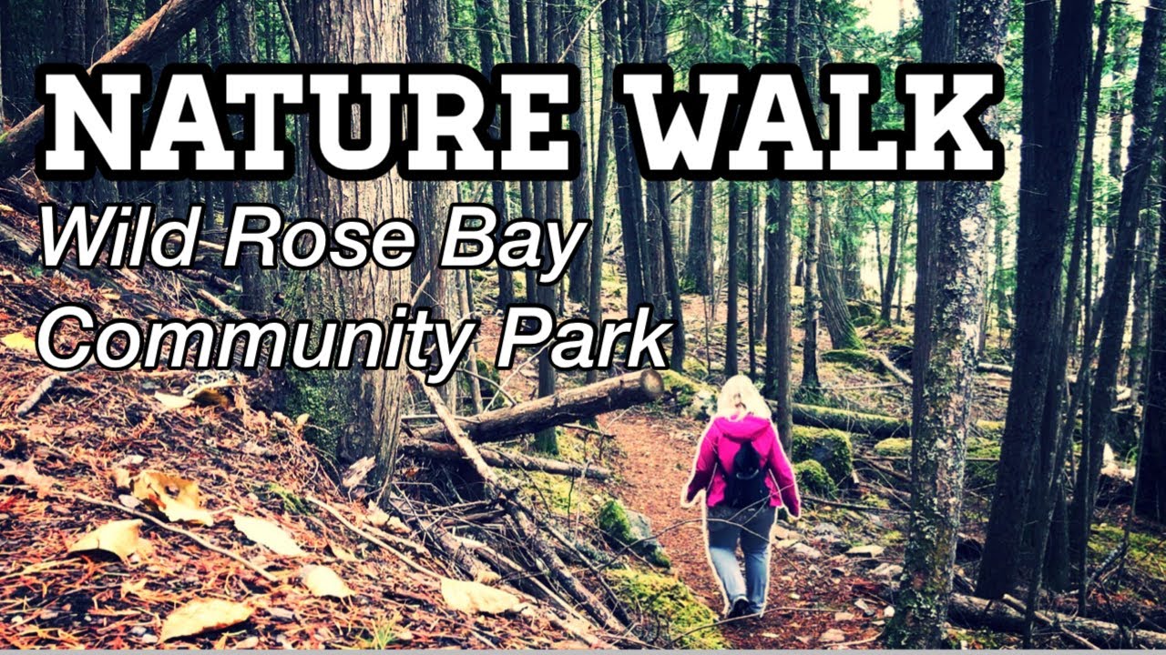Nature Walk at Wild Rose Bay Park Shuswap Lake British Columbia