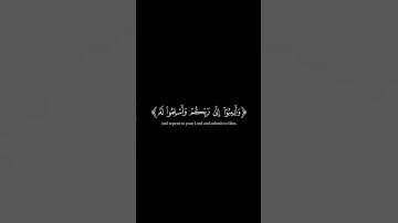 اكتب شيء تؤجر عليه 😊💖القرآن الكريم شاشة سوداء