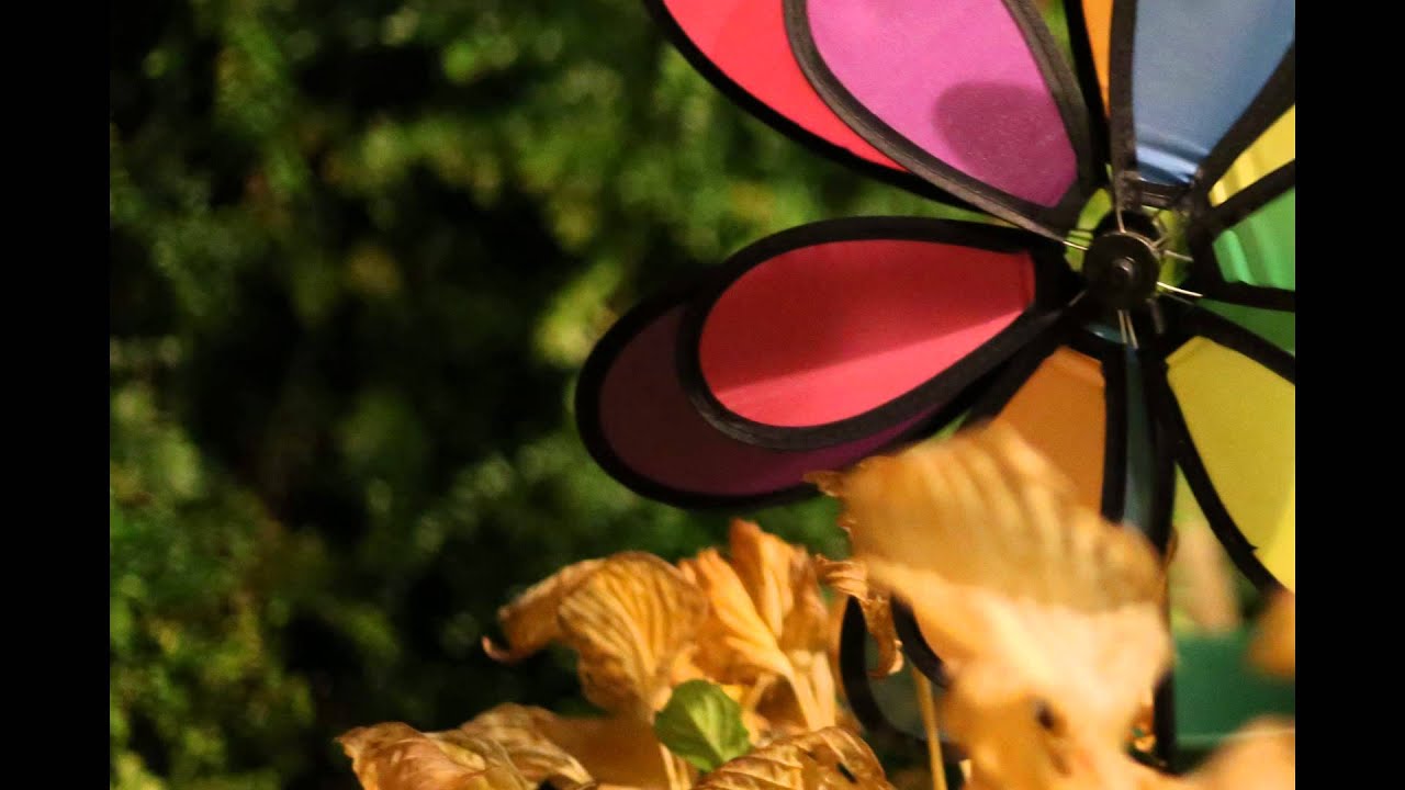 Canon 6D low light focusing and ISO test YouTube