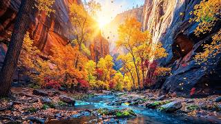 (No Ads) When Autumn Turns to Night 🍂 Calming Music to Unwind & Let Go of a Long Day