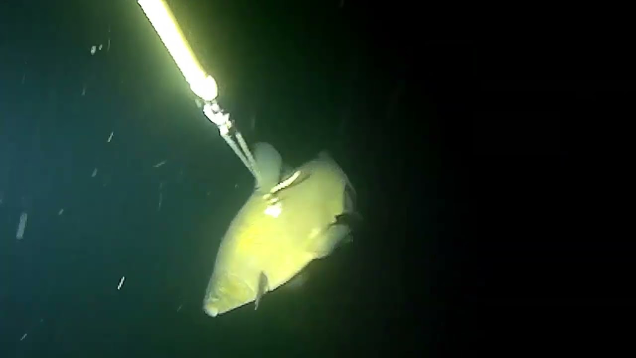 Линёвый вечер