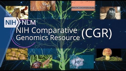 NIH Comparative Genomics Resource (CGR)