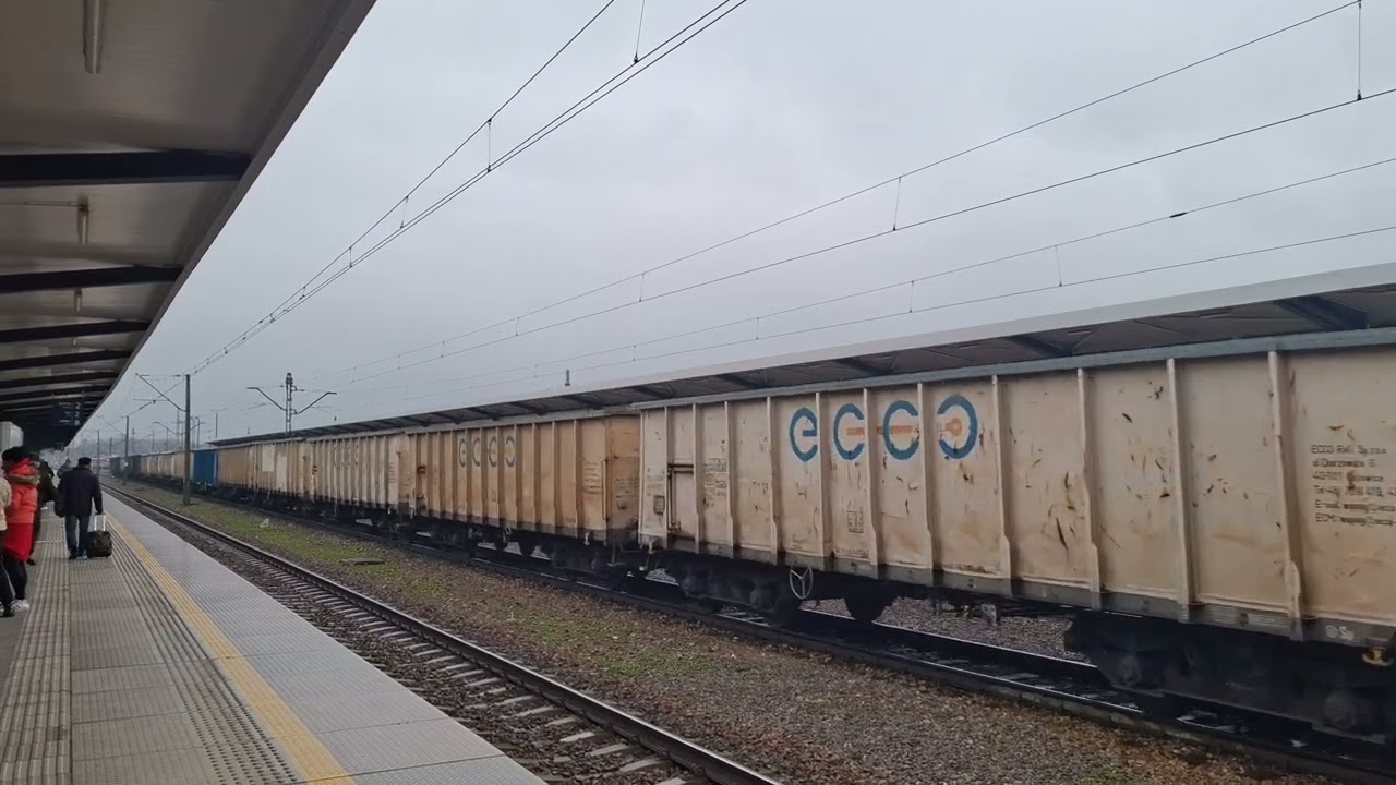 BR231 014. Ludmiła ECCO z firmowym węglarkowym. Skarżysko-Kamienna