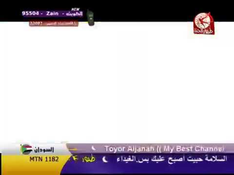 ما احلاها سوريا فرقة طيور الجنة