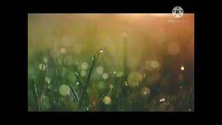 Download Lagu Nada dering telpon