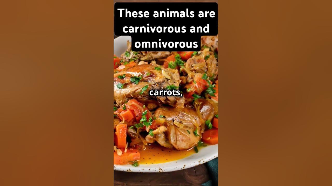 These animals are carnivorous as well as omnivorous#animals #panda#